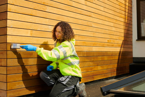 Best Brick Veneer Siding  in Nashville, NC